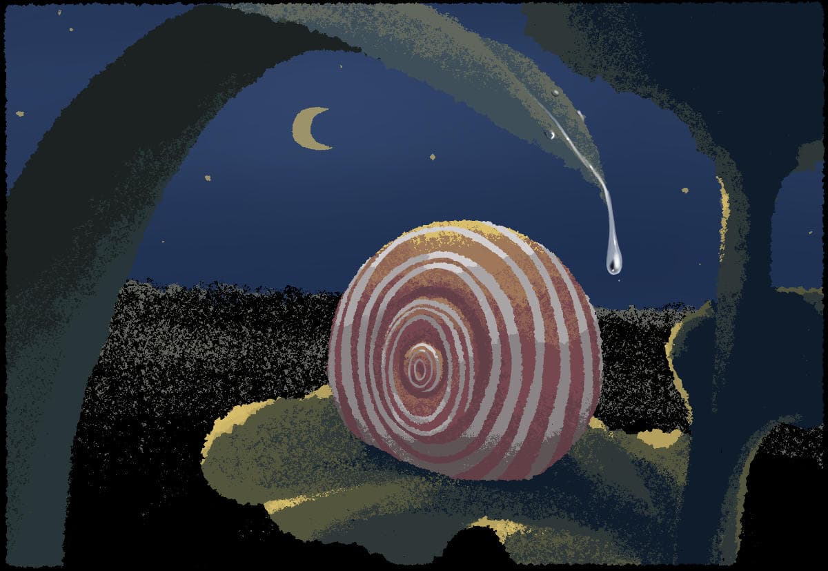 A snail sleeps on top of a leaf. A dewdrop drapes down from a grass leaf. Moon hangs in the starry sky.